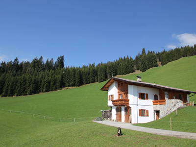 Bild 20 aus  Flecklhütte