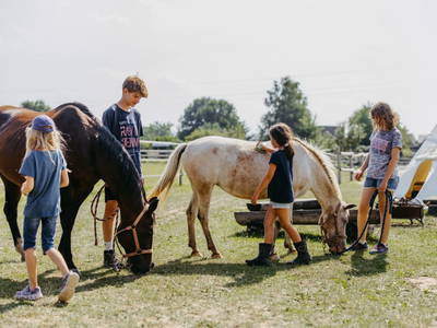 Bild 46 aus  Family Ranch – Urlaub am PferdeBauernHof