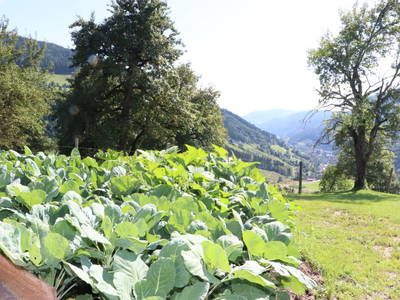 Bild 51 aus  Panorama Hof Fa. Sereinig