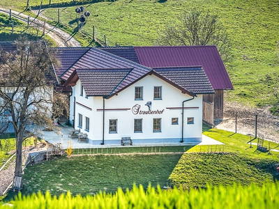 Bild 2 aus  Straußenhof Halmer