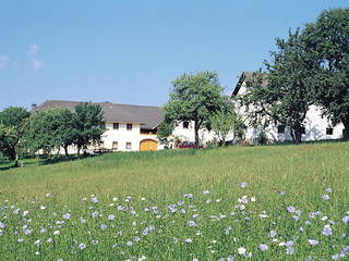 Nußbaumer aus St. Stefan am Walde