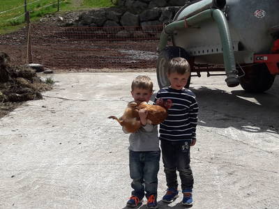 Bild 56 aus  Almhof Unterranner