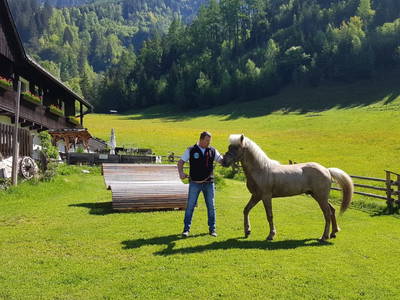 Bild 269 aus  Der Perweinhof