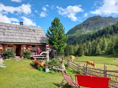 Bild 90 aus  Sonnenchalet im Salzburger Lungau
