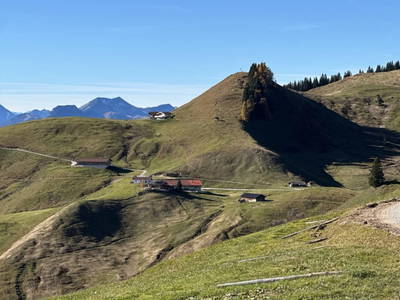 Bild 13 aus  Lochner Alm