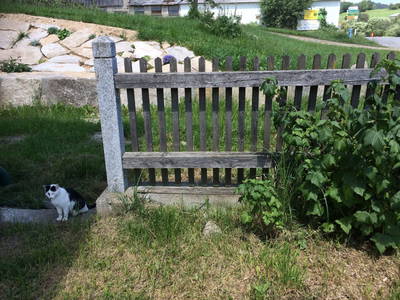 Bild 27 aus  Höbarth