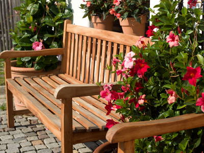 Bild 6 aus  Ferienhof Schoppa-Haisl