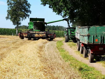 aktive Landwirtschaft