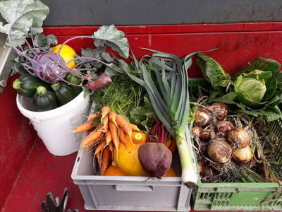 Bild 52 aus  Anderlbauer