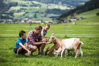 Gut Neusess Der kinderfreundliche Biobauernhof aus Mauterndorf