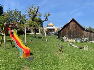 Bild 13 aus  Weingut Krispel