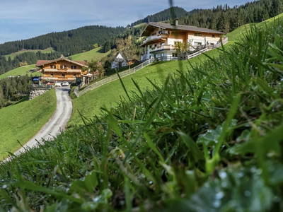 Bild 4 aus  Prädastenhof - Zuhaus