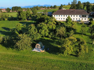 Bild 59 aus  Wildkrauts Kräuterbauernhof