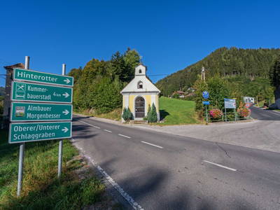 Bild 79 aus  Almbauer