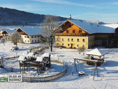 Bild 240 aus Kinderparadies Bachbauer