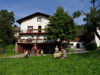 Bild 7 aus  Bauernhof Waira