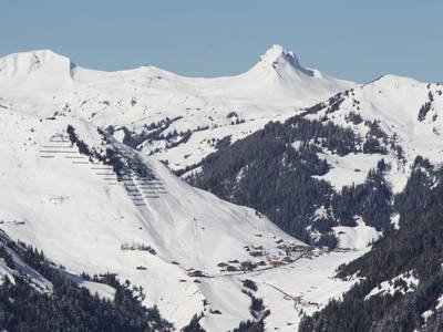 Bild 26 aus  Panoramahof Nigsch