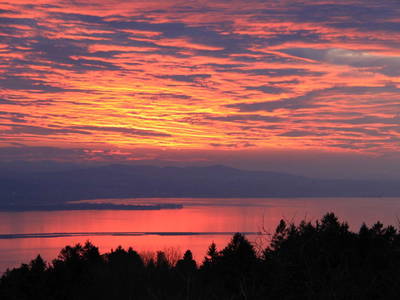 Bild 44 aus  Naturhof Innauer