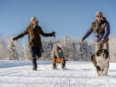 Bild 61 aus  Biobauernhof Brandlhof