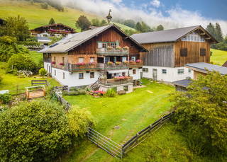 Untermoos aus Taxenbach