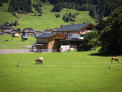 Bild 44 aus  Haus Bergquell mit Pferdestall