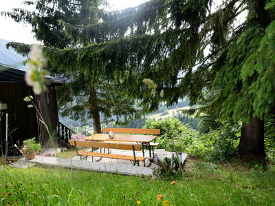 Bild 25 aus  Schwammerlhütte