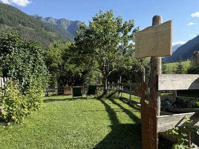 Bild 174 aus  Bergerhof