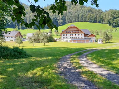 Bild 78 aus  Rußbachbauer