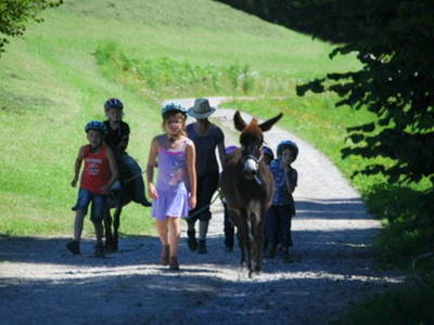 Bild 4 aus  Landeckhof