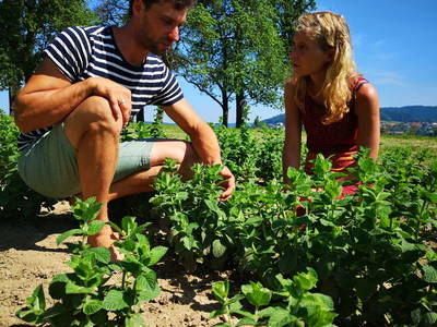 Bild 23 aus  Biokräuterei Mathiasnhof