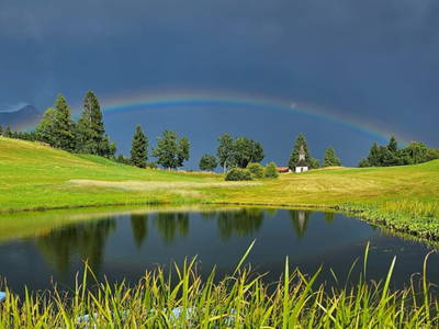 Bild 10 aus  Mösslacherhof