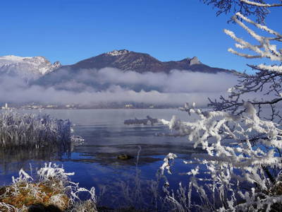 Bild 155 aus Am Linahof
