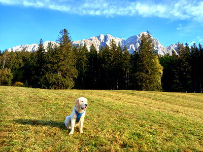 Bild 35 aus Christerbauerhof