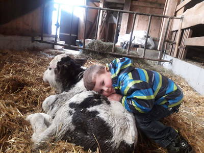 Bild 55 aus  Almhof Unterranner