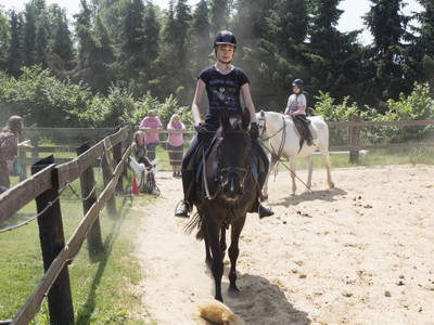 Bild 28 aus  Ferienhof Stegen