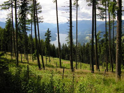 Bild 175 aus  Bacherhof