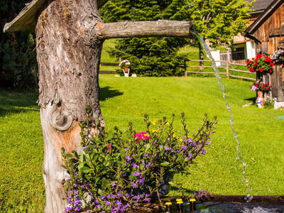 Bild 15 aus  Buchmann Lehen