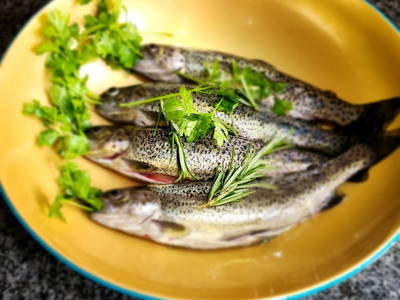 Bild 91 aus  Waldbienenhütte am Erlebnisbiobauernhof