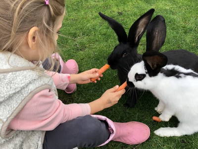 Bild 36 aus  Hof zum Kleinod