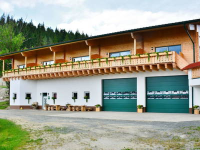 Bild 11 aus  Greithbauer Appartments