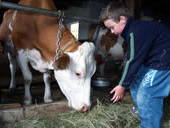 Bild 49 aus  Sportbauernhof Hochalmblick