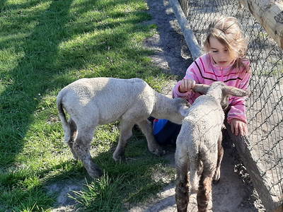 Bild 26 aus  Ferienhof Claußen