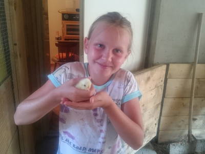 Bild 10 aus  Bio-Arche-Bauernhof Waldesruh