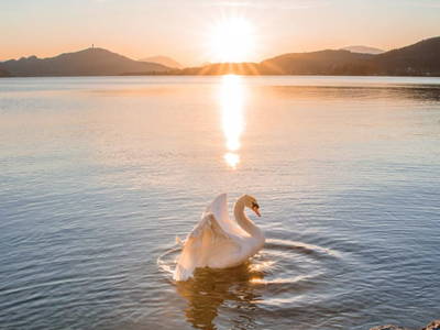 Bild 135 aus  Landhaus Sofie