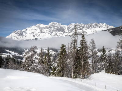 Bild 127 aus  Brennergut