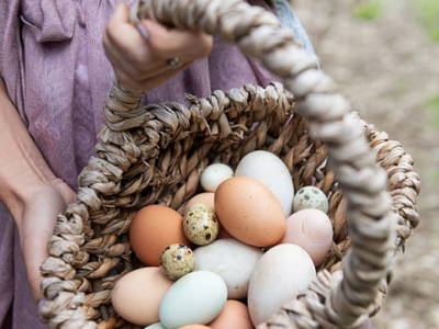 Bild 134 aus  Göttfriedbauer