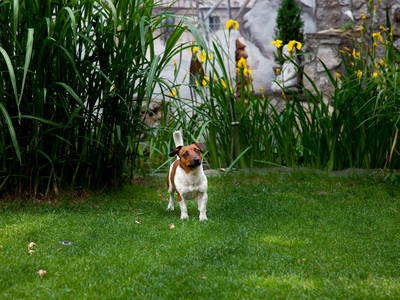 Bild 22 aus  Gästezimmer Frühwirth