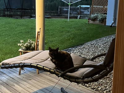 Bild 88 aus  Spöttlinghof