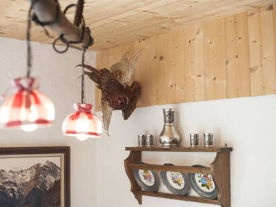 Bild 29 aus  Heinreichgut Almhütte