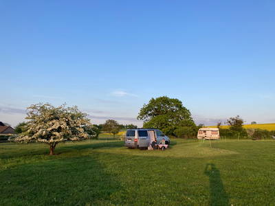 Wiese auf dem Bauershof